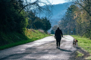 a person walks a dog on a mountain road