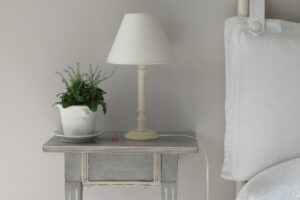 a lamp and plant on a table